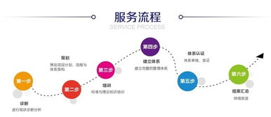 发酵饼干绿色食品认证 临智略企业管理的专业护航