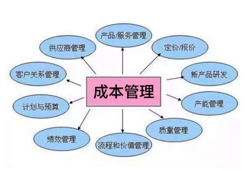 企业成本控制策略 提升竞争力的必然选择