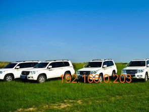 呼伦贝尔汽车租赁指南 哪里租车及行情价格解析